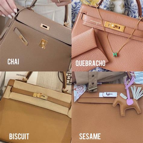 hermes chai vs gold|hermes beige color chart.